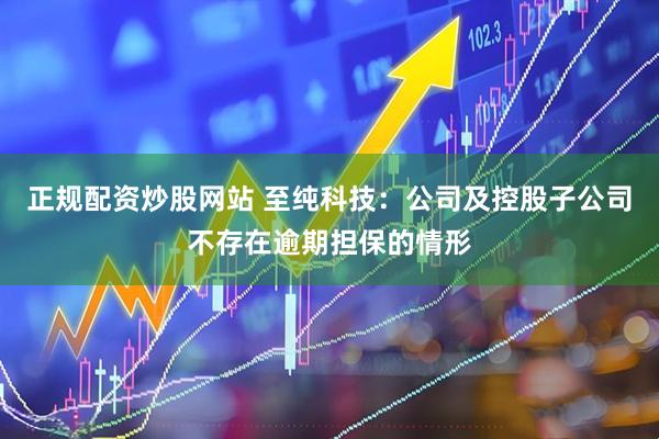 正规配资炒股网站 至纯科技：公司及控股子公司不存在逾期担保的情形