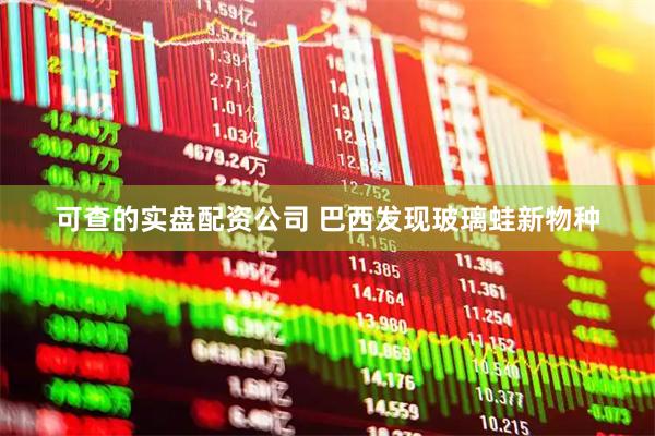 可查的实盘配资公司 巴西发现玻璃蛙新物种